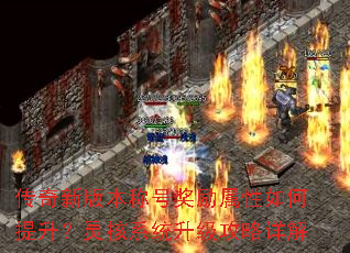 �����°汾�ƺŽ�������������������ϵͳ�����������
