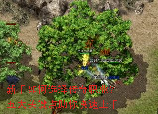 �������ѡ����ְҵ�����ؼ��������������