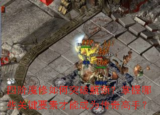 �Ľ�ħ�����ͻ��ƿ����������Щ�ؼ�Ҫ�ز��ܳ�Ϊ������֣�