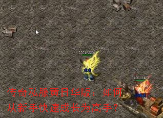 ����˽�����ջ��棺��δ����ֿ��ٳɳ�Ϊ���֣�