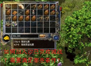 如何加入沙巴克攻城战?需要满足哪些条件? 如何加入沙巴克攻城战?需要满足哪些条件?