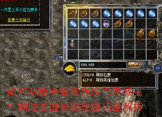 如何从新手蜕变为沙巴克城主?制胜关键与实战技巧全解析 如何从新手蜕变为沙巴克城主?制胜关键与实战技巧全解析