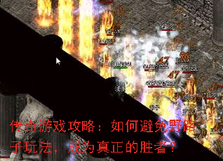 ������Ϸ���ԣ���α���Ұ·���淨����Ϊ������ʤ�ߣ�