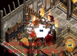 2026�괫��˽��ǰʮǿ���Ŀ������Ľ�������