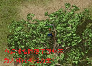 ���˽�ָ��������Щ��Ϊ��֪������������