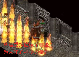���˽�ָ��������Щ��Ϊ��֪������������