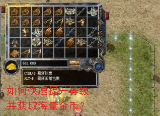 如何快速提升等级并获取海量金币? 如何快速提升等级并获取海量金币?