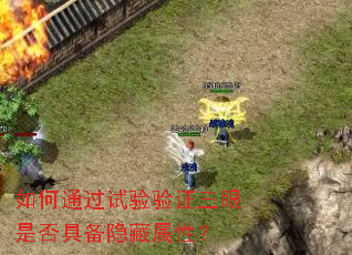 ���ͨ��������֤�����Ƿ�߱��������ԣ�
