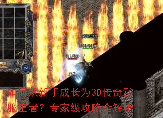 ��δ����ֳɳ�Ϊ3D����˽�����ߣ�ר�Ҽ�����ȫ����