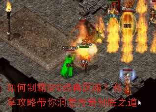 ����ư�SFC����������˽�����Դ��㶴Ϥ������ʤ֮��