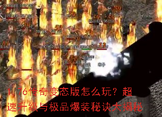 1.76�����̬����ô�棿���������뼫Ʒ��װ�ؾ������