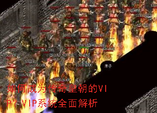 ��γ�Ϊ����ʳ���VIP��VIPϵͳȫ�����