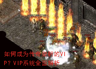 ��γ�Ϊ����ʳ���VIP��VIPϵͳȫ�����