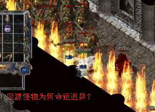 ͬԴ����Ϊ���������죿