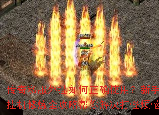 ����˽����������ȷʹ�ã����ֹһ�����ȫ���԰�������ַ���