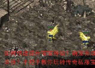 如何快速提升宝宝等级?萌宠养成有哪些必杀技?手把手教你玩转传奇私服宝宝派对 如何快速提升宝宝等级?萌宠养成有哪些必杀技?手把手教你玩转传奇私服宝宝派对