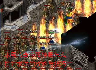 ��ѩ�������������ô������ϸ�����뼼��