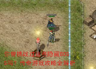 ������ս����Щ����BOSS�𣿴�����Ϸ����ȫ����