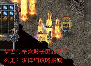 ���Ŵ��湬���·����ô�ߣ�����ϸ����ָ��