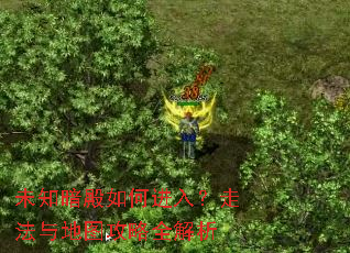 δ֪������ν��룿�߷����ͼ����ȫ����