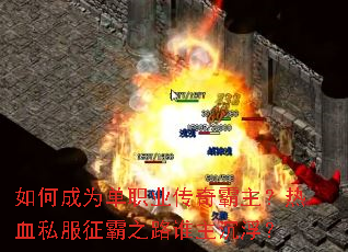 ��γ�Ϊ��ְҵ�����������Ѫ˽������֮·˭��������