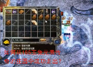 ��δ�185����Ԫ�ش����ׯ԰�гɹ��߳���