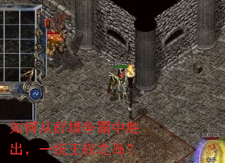 如何从群雄争霸中胜出,一统王权之岛? 如何从群雄争霸中胜出,一统王权之岛?