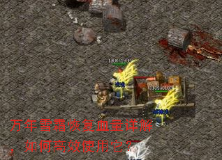 ����ѩ˪�ָ�Ѫ����⣬��θ�Чʹ������