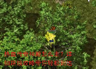 热血传奇神殿怎么走?详细路线攻略带你轻松到达 热血传奇神殿怎么走?详细路线攻略带你轻松到达