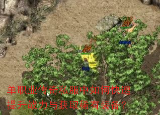 单职业传奇私服中如何快速提升战力与获取稀有装备? 单职业传奇私服中如何快速提升战力与获取稀有装备?