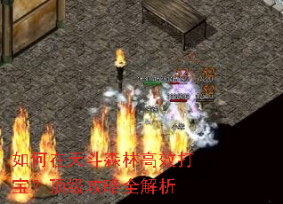 ������춷ɭ�ָ�Ч�򱦣���������ȫ����