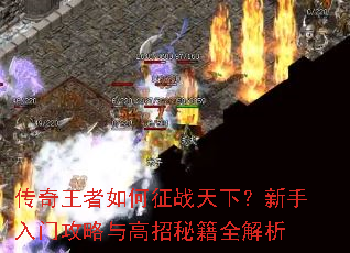 �������������ս���£��������Ź���������ؼ�ȫ����