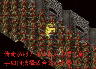 ����˽����������ô�鿴���������ѡ���ʺϵķ�������