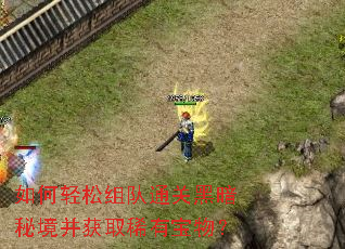 如何轻松组队通关黑暗秘境并获取稀有宝物? 如何轻松组队通关黑暗秘境并获取稀有宝物?