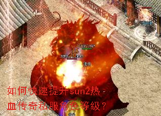 ��ο�������sun2��Ѫ����˽����ɫ�ȼ���