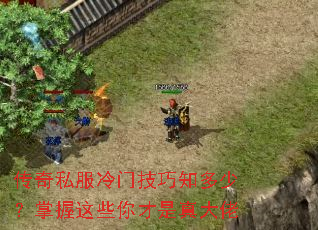 传奇私服冷门技巧知多少?掌握这些你才是真大佬 传奇私服冷门技巧知多少?掌握这些你才是真大佬