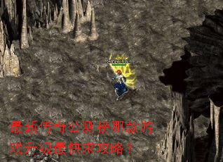 最新传奇公测榜哪款游戏升级最快求攻略? 最新传奇公测榜哪款游戏升级最快求攻略?