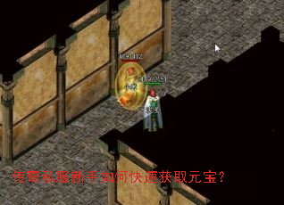 传奇私服新手如何快速获取元宝? 传奇私服新手如何快速获取元宝?