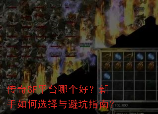 ����SFƽ̨�ĸ��ã��������ѡ����ܿ�ָ�ϣ�