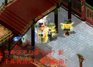 ����SFƽ̨�ĸ��ã��������ѡ����ܿ�ָ�ϣ�