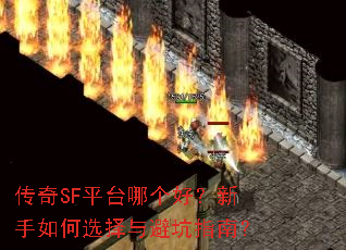 ����SFƽ̨�ĸ��ã��������ѡ����ܿ�ָ�ϣ�