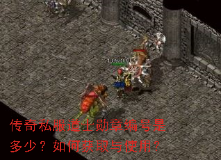 传奇私服道士勋章编号是多少?如何获取与使用? 传奇私服道士勋章编号是多少?如何获取与使用?