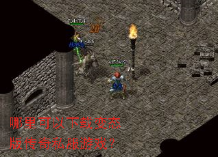 ����������ر�̬�洫��˽����Ϸ��