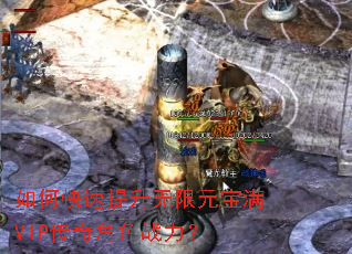 如何快速提升无限元宝满VIP传奇角色战力? 如何快速提升无限元宝满VIP传奇角色战力?