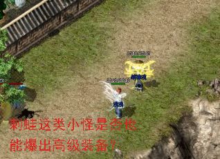 刺蛙这类小怪是否也能爆出高级装备? 刺蛙这类小怪是否也能爆出高级装备?
