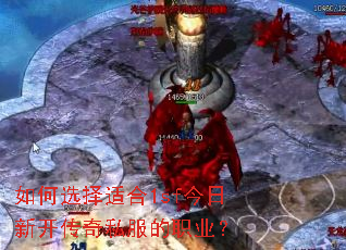 ���ѡ���ʺ�1sf�����¿�����˽����ְҵ��