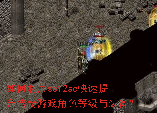 �������se12se��������������Ϸ��ɫ�ȼ���װ����