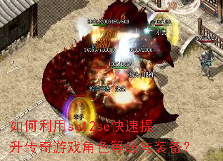 �������se12se��������������Ϸ��ɫ�ȼ���װ����