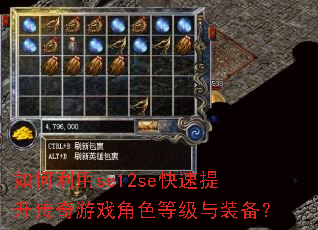 �������se12se��������������Ϸ��ɫ�ȼ���װ����