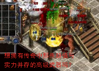 ��ӵ�д�������Щ��ֵ��ʵ������ĸ߼�������